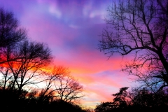 Christmas-Sky-2019-scaled