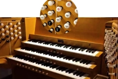 organ_art_web