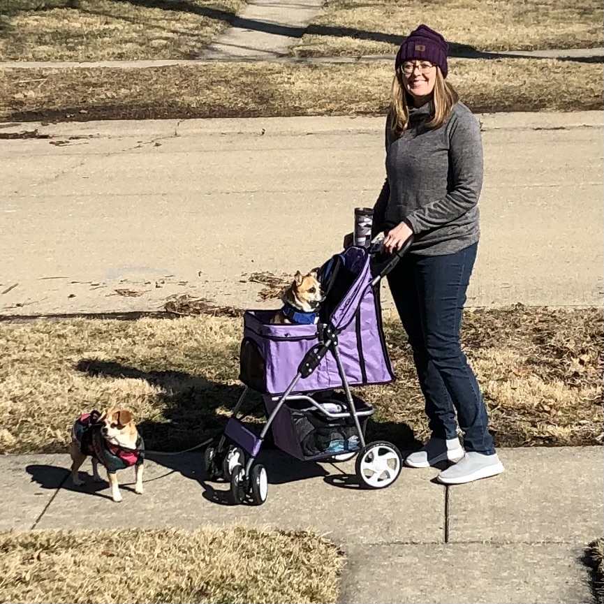 Dawn walking Porkchop and Charlie in his purple stroller. 