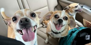 Ollie Porkchop and Charlie 